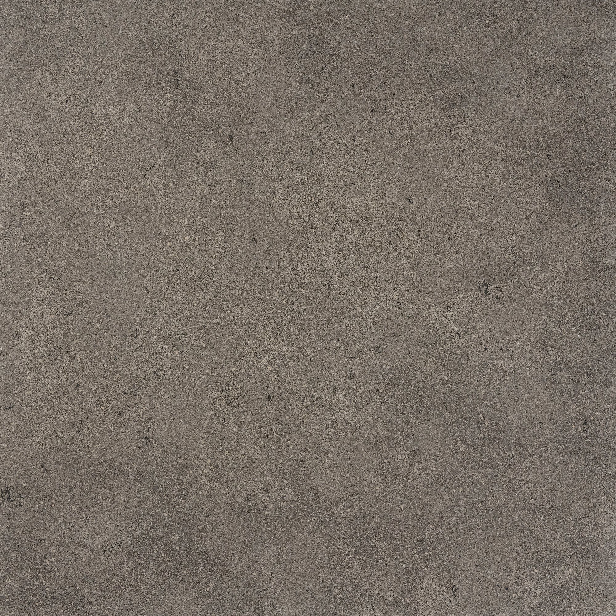 Керамогранит / напольное покрытие ARIOSTEA ELEMENTAE FULL BODY ARCH-00033684 - Вид №7