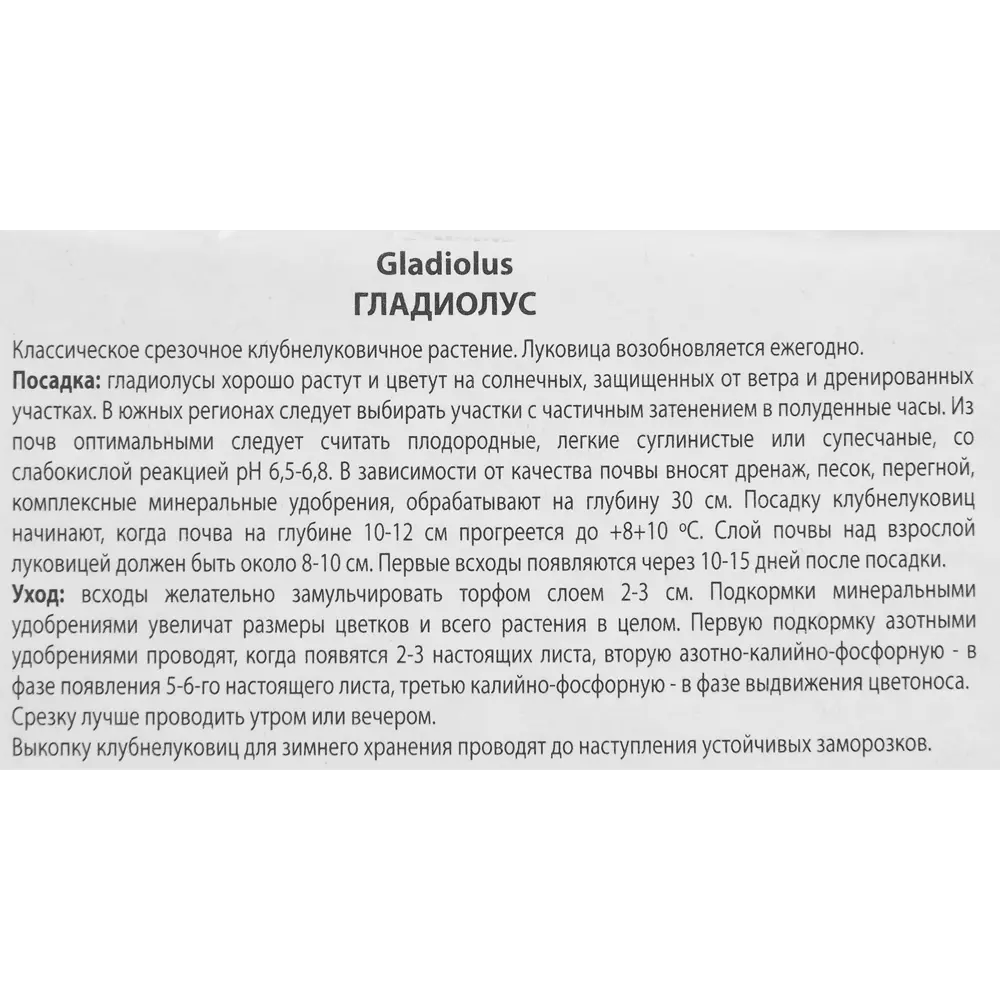 Гладиолус крупноцветковый Присцилла 3 шт. 83588516 STLM-2042541 ПОИСК  - Вид №2