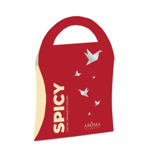 Саше ароматизированное Spicy 10 г