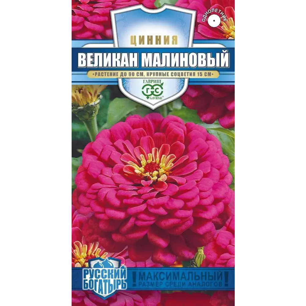 Семена циннии Великан малиновый ГАВРИШ - однолетние цветы для сада 89401927 STLM-1570654