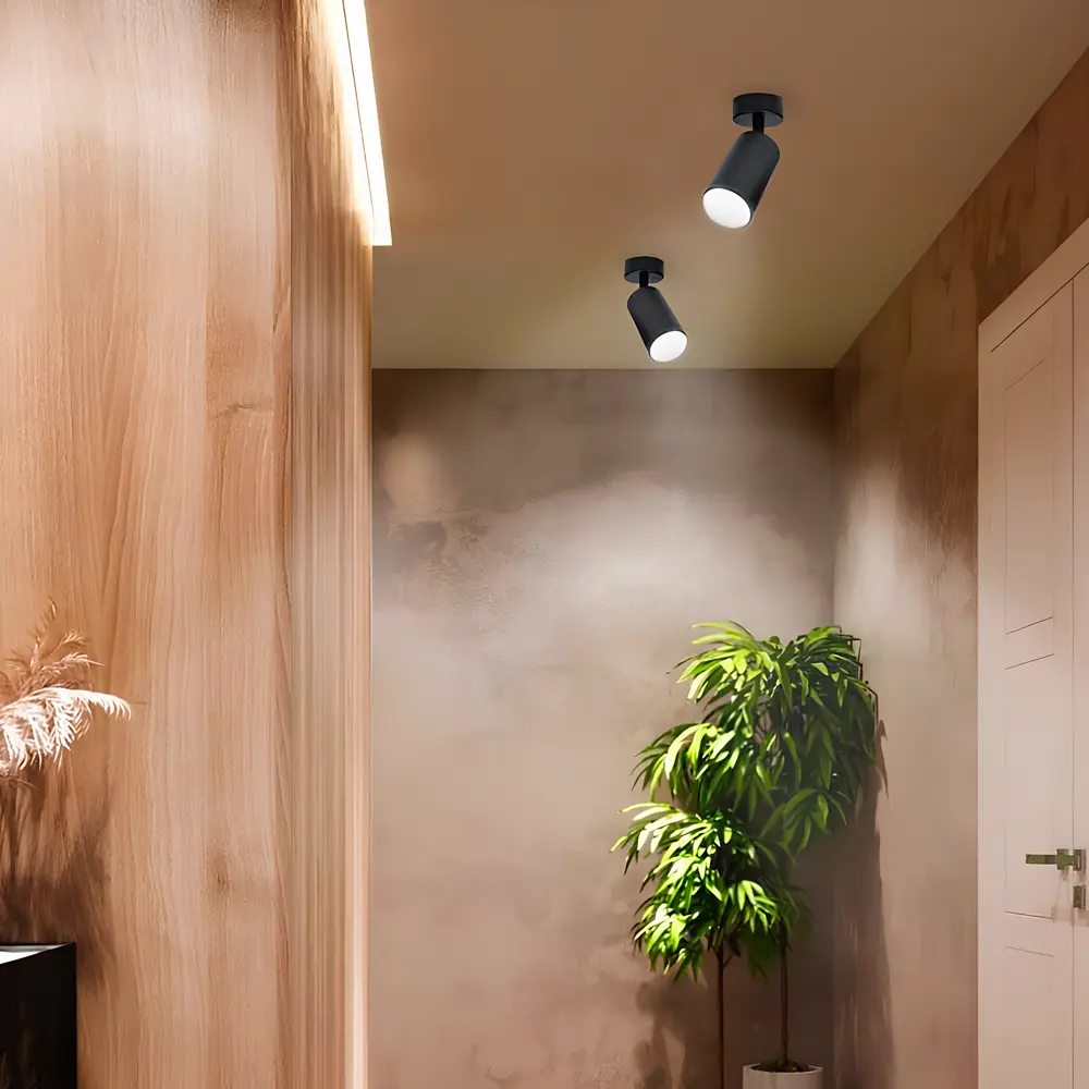 Поворотный спот Ritter Arton: точечное освещение для интерьера 83978991 STLM-0045721 - Вид №10