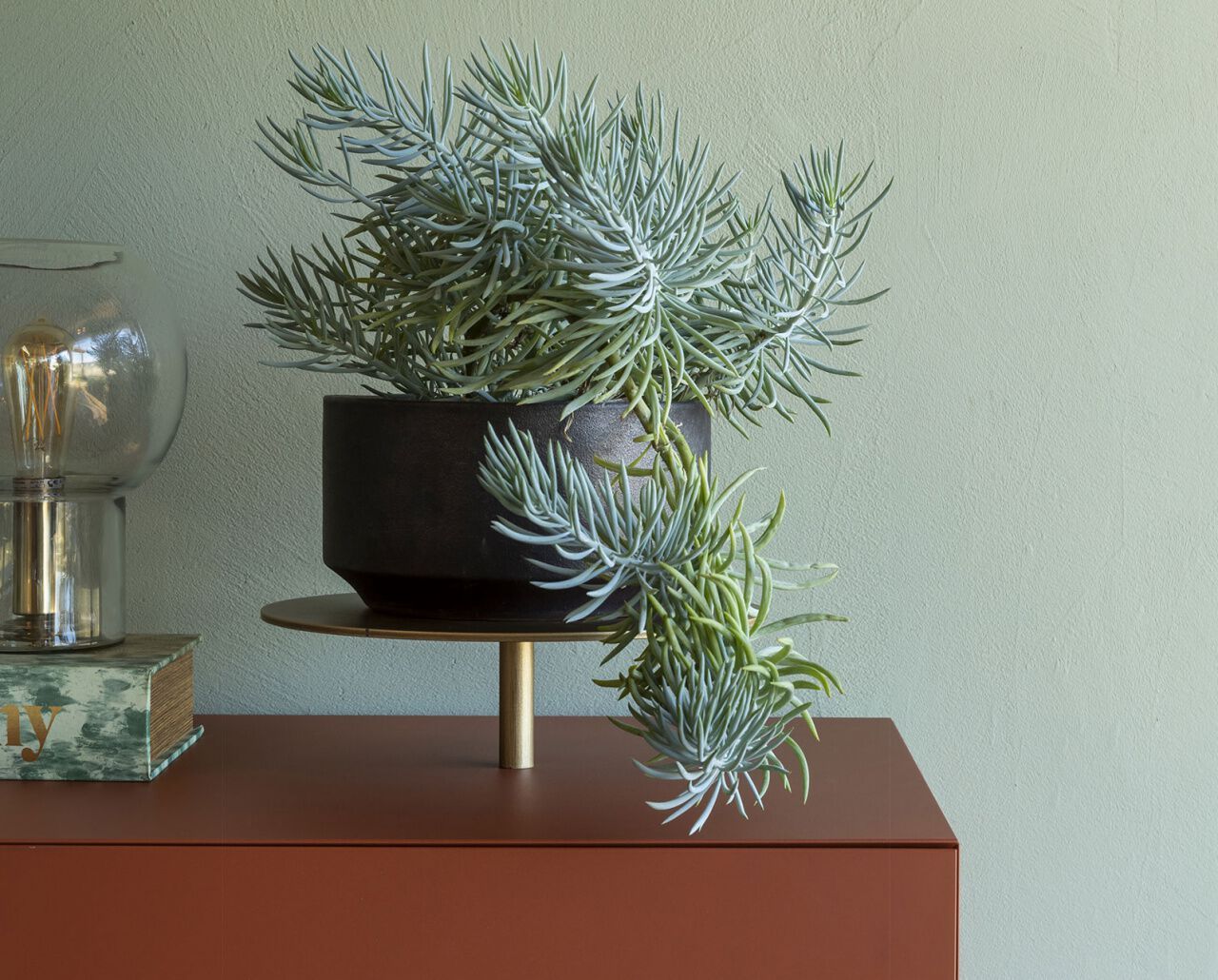 Шкаф из МДФ Mogg икебана ARCH-00128520 - Вид №13