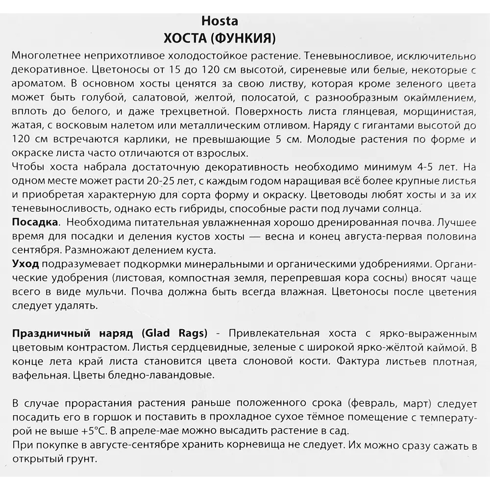 Хоста гибридная Глед Рэгс ПОИСК STLM-2039258 - Вид №2