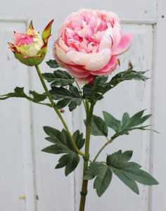 2345 508 a3 Пион шелковый, 1 цветок, 1 бутон, 78 см, розово-зеленый H-andreas