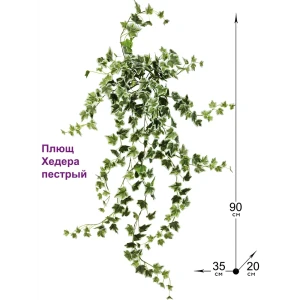 Искусственное растение ФитоПарк Плющ Хедера пестрый