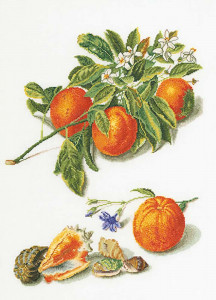 3061А Набор для вышивания Апельсины и мандарины 33 х 45 см Thea Gouverneur