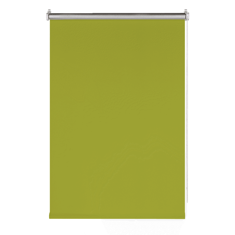 91080887 Рулонная штора 60x160 см, цвет зеленый Blackout Silver STLM-0473908 PRAKTO
