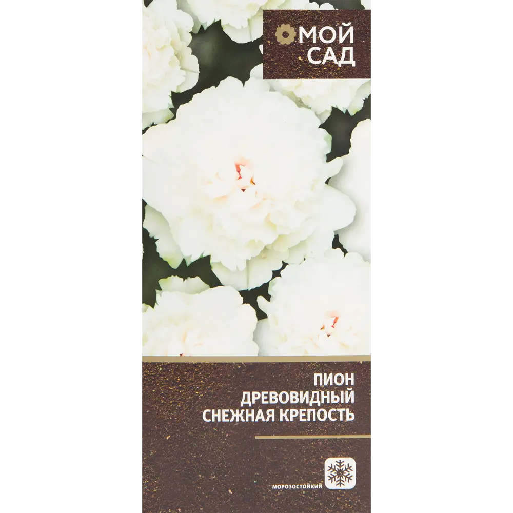 Пион древовидный привитый Снежная крепость в тубе ВСЕ В САД STLM-2017291