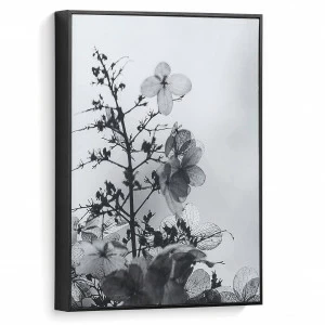 Картина на холсте 40х30 см черно-белая "Каланта. Ветки" от La Forma LA FORMA CALANTHA 343070 Серый;черный