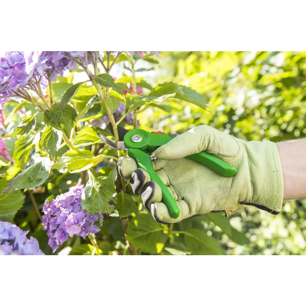 Секатор Geolia для точной обрезки ветвей 81966048 STLM-0015857 - Вид №9