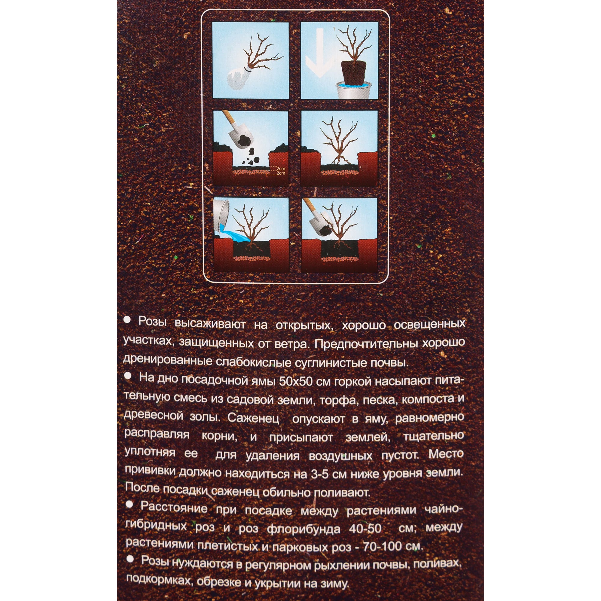 82142831 Роза чайно-гибридная «Пинк Пис» в тубе Santreyd  - Вид №2