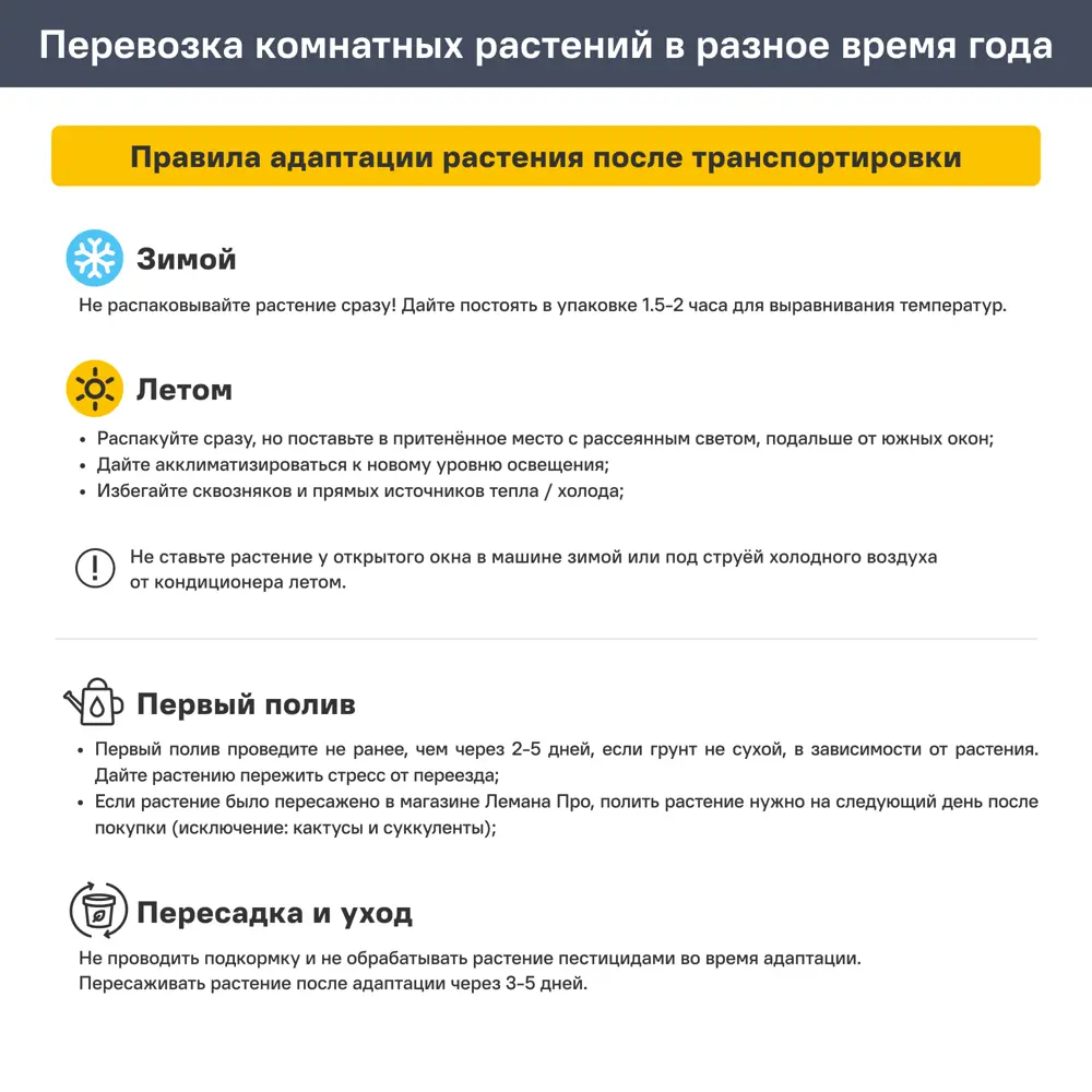 Орхидея Фаленопсис каскад ø12 h45 см Santreyd STLM-2120359 - Вид №3