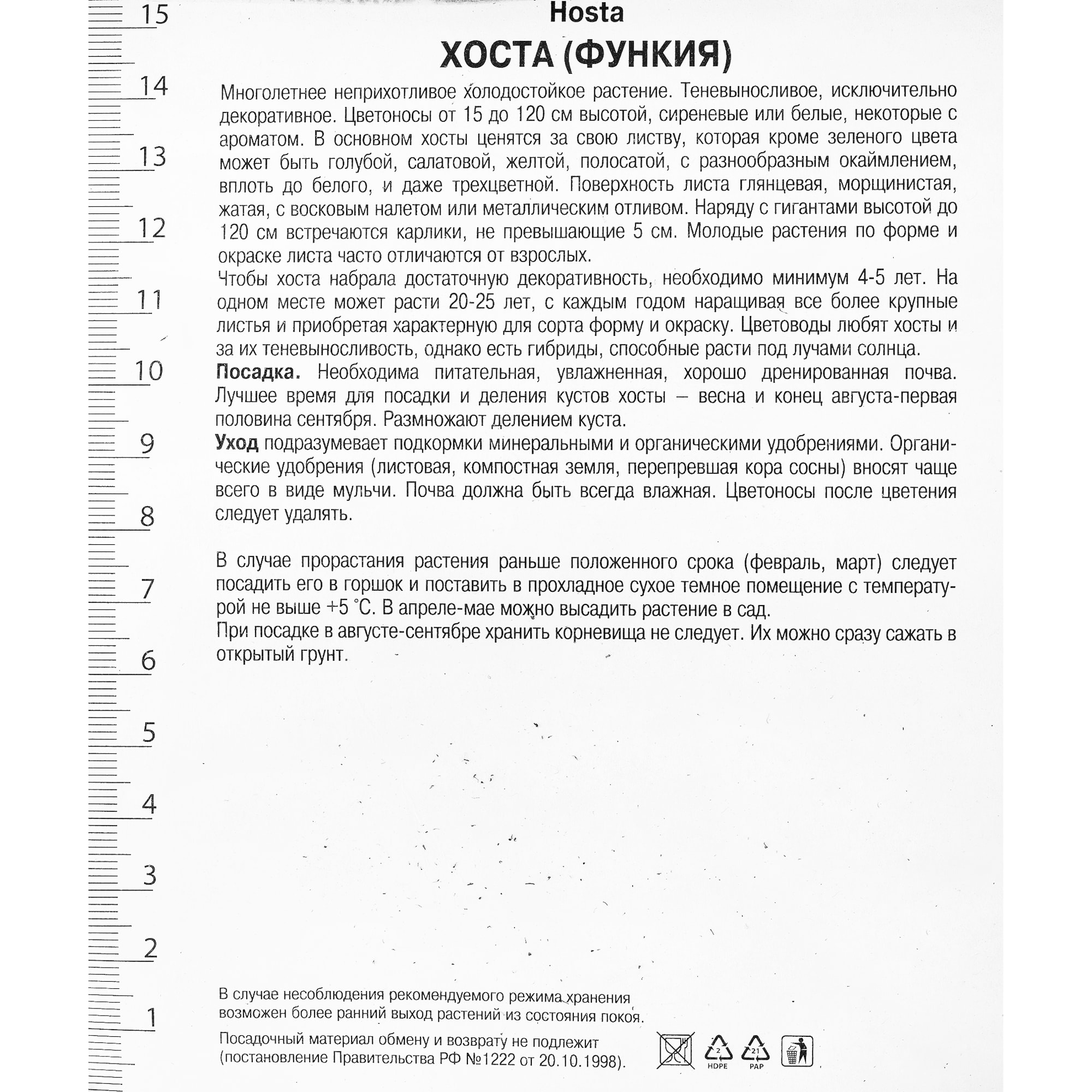 82118744 Хоста волнистая «Унивитата», 1 шт Santreyd  - Вид №1