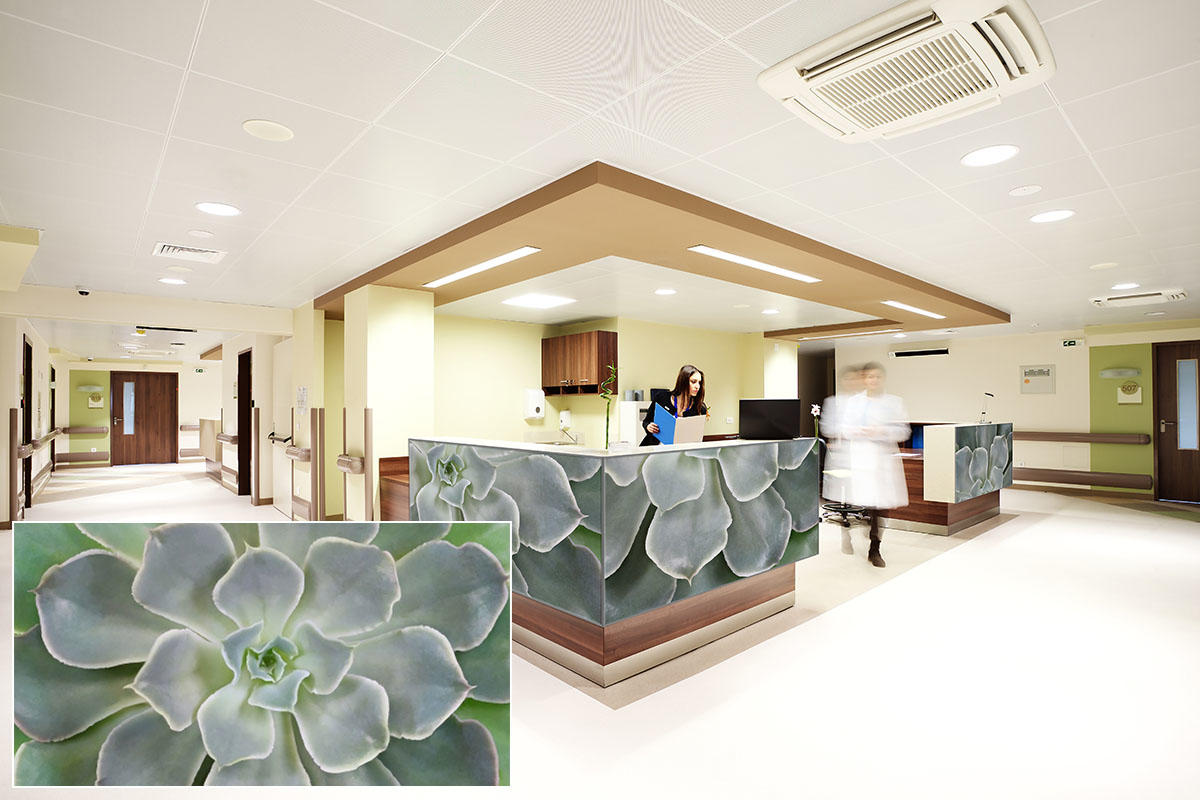 FSRT381 Зум-стекло vivispectra с прослойкой сакраменто горы  Forms-surfaces  - Вид №14