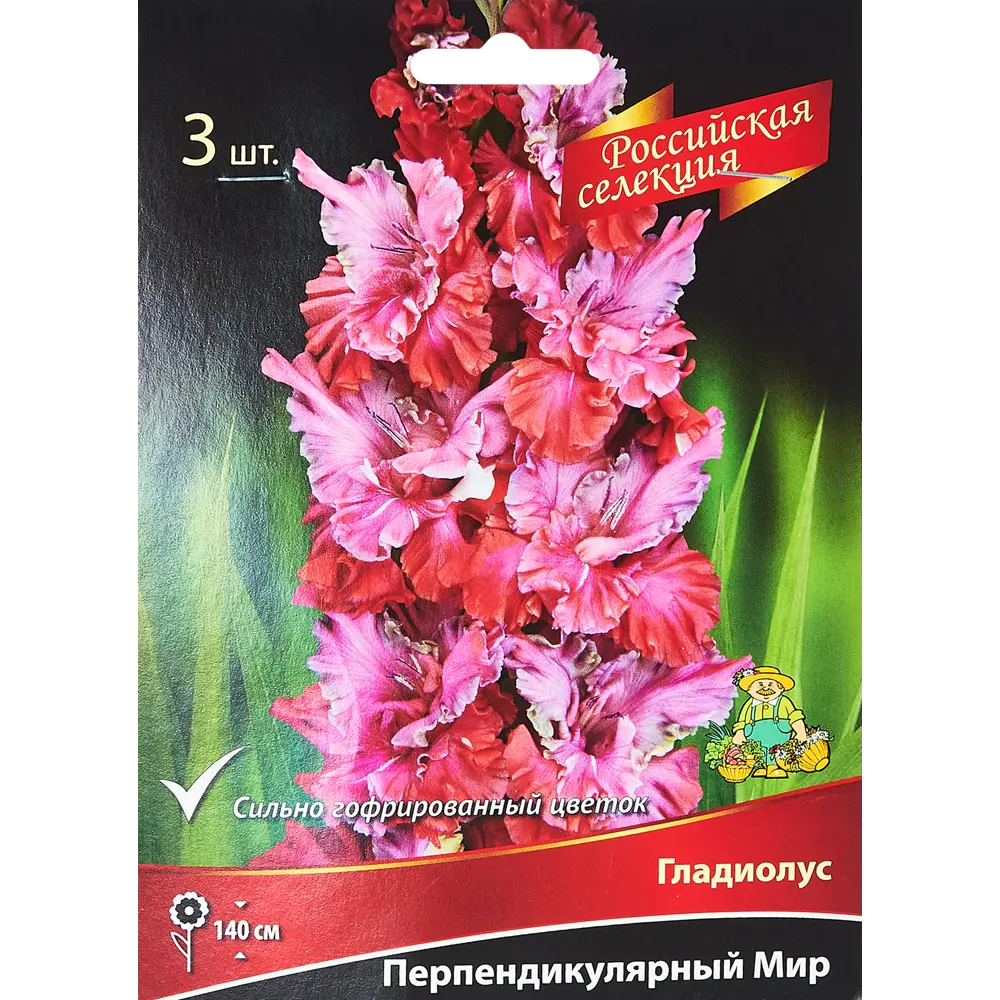 Гладиолус Перпендикулярный мир, 3 шт 86410011 STLM-2092990 ПОИСК 