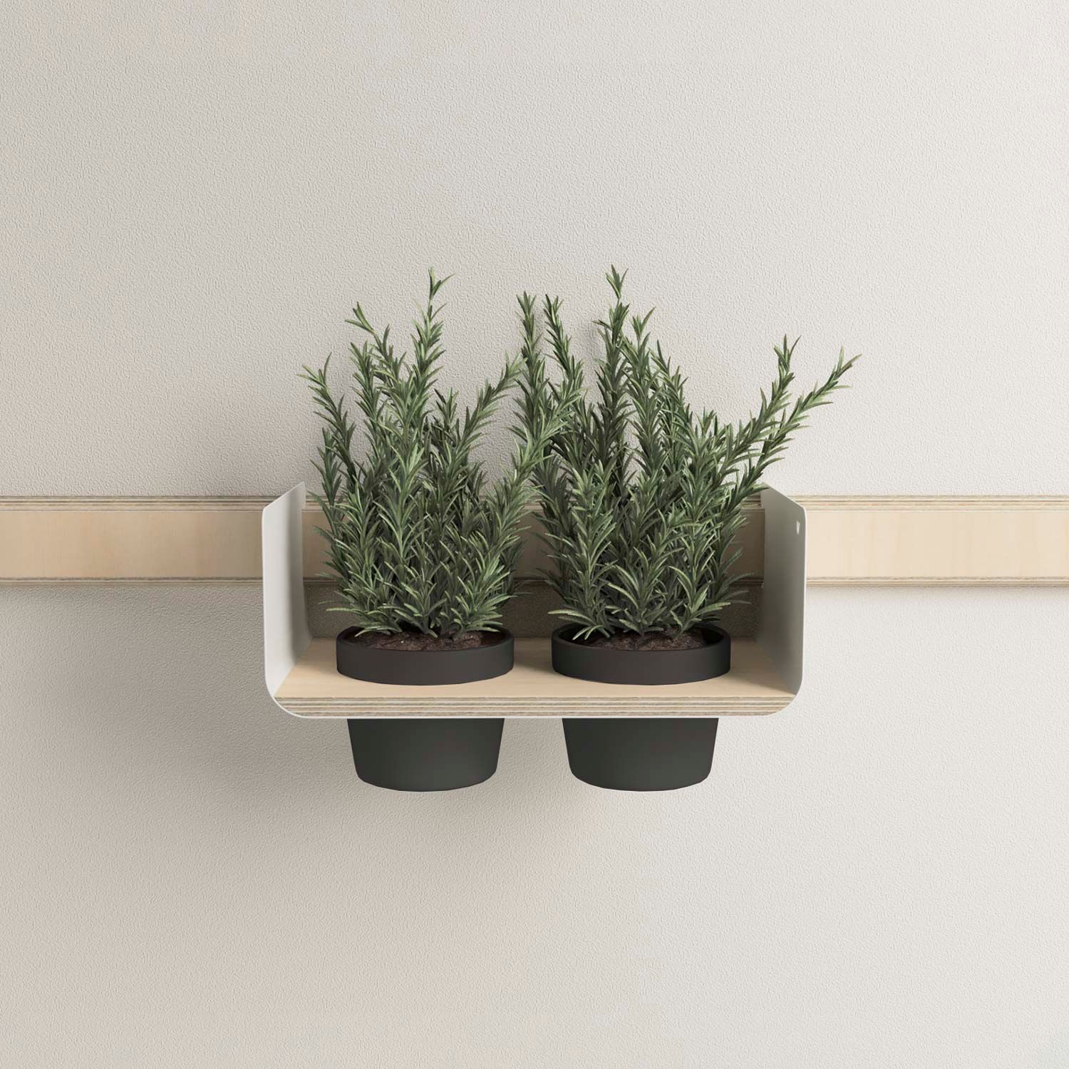 Настенная деревянная секционная прихожая Variand Furniture E13 ARCH-00099932 - Вид №12