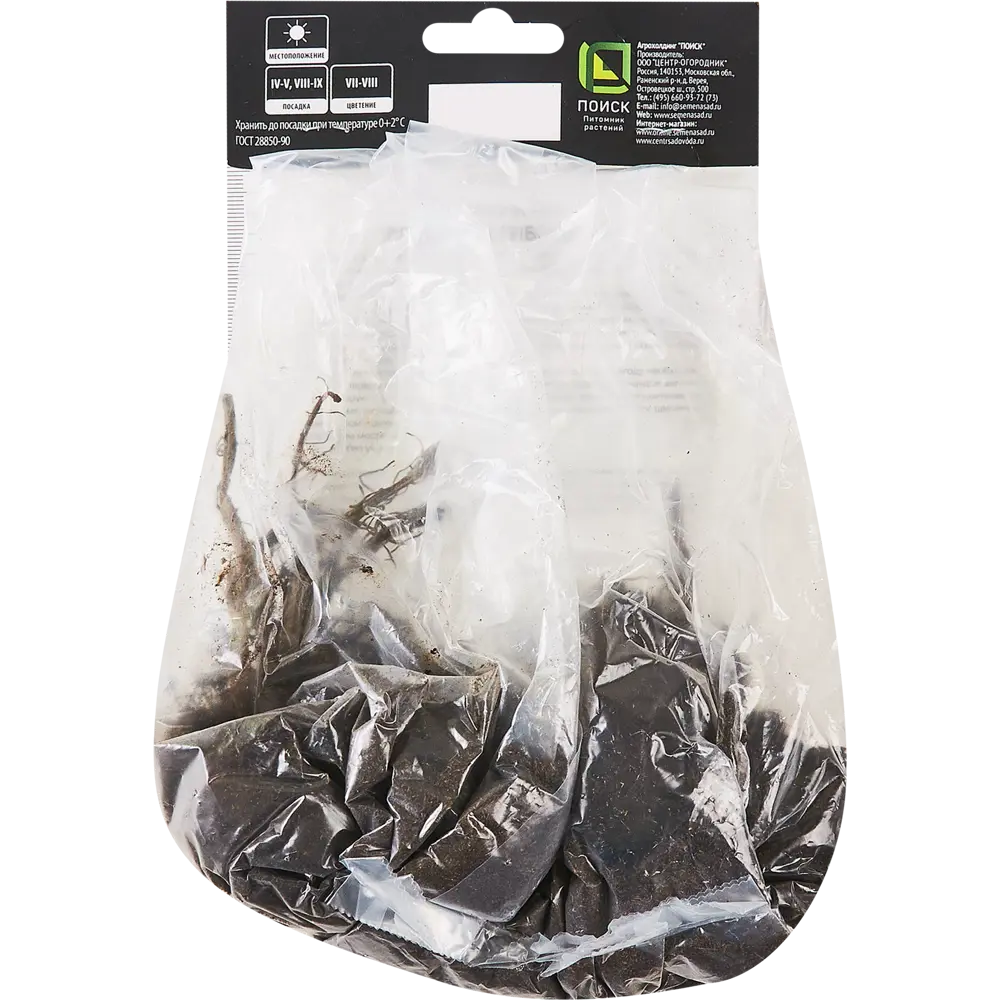 Лилейник гибридный Биг Сити Ай ПОИСК STLM-2058604 - Вид №1