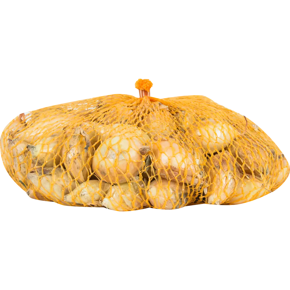 Лук-севок озимый «Сеншуй Йелло» ПРЕСТИЖ СЕМЕНА STLM-2092470