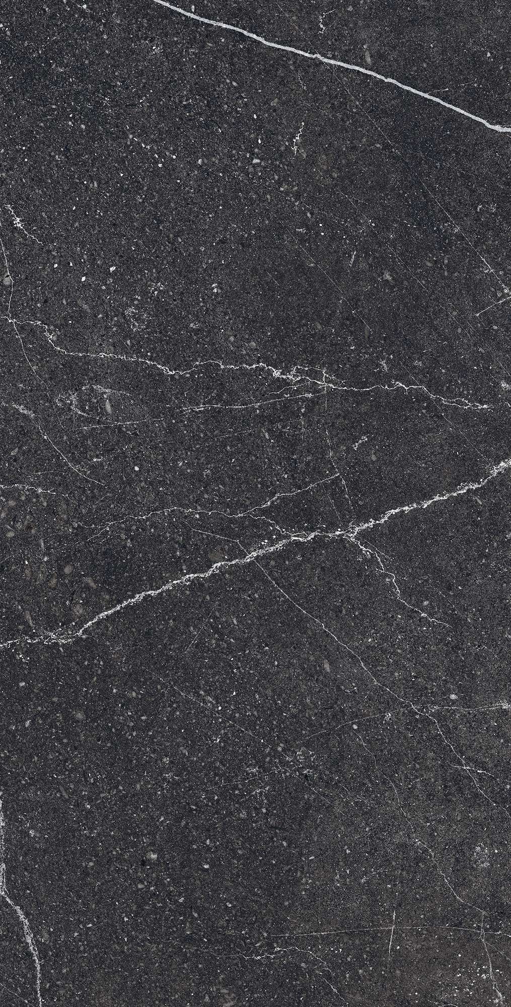 Графитовая элегантность EQUISTONE CHARCOAL RG6003-A Arcadia Ceramica - Вид №3