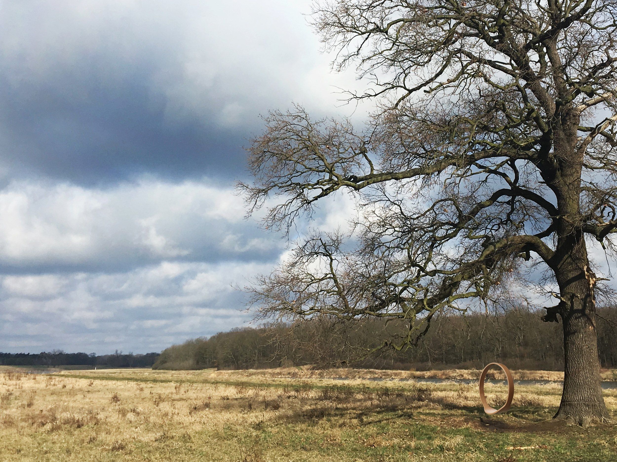 Деревянный подвесной стул Iwona Kosicka Design SWING N.1 ARCH-00146183 - Вид №16