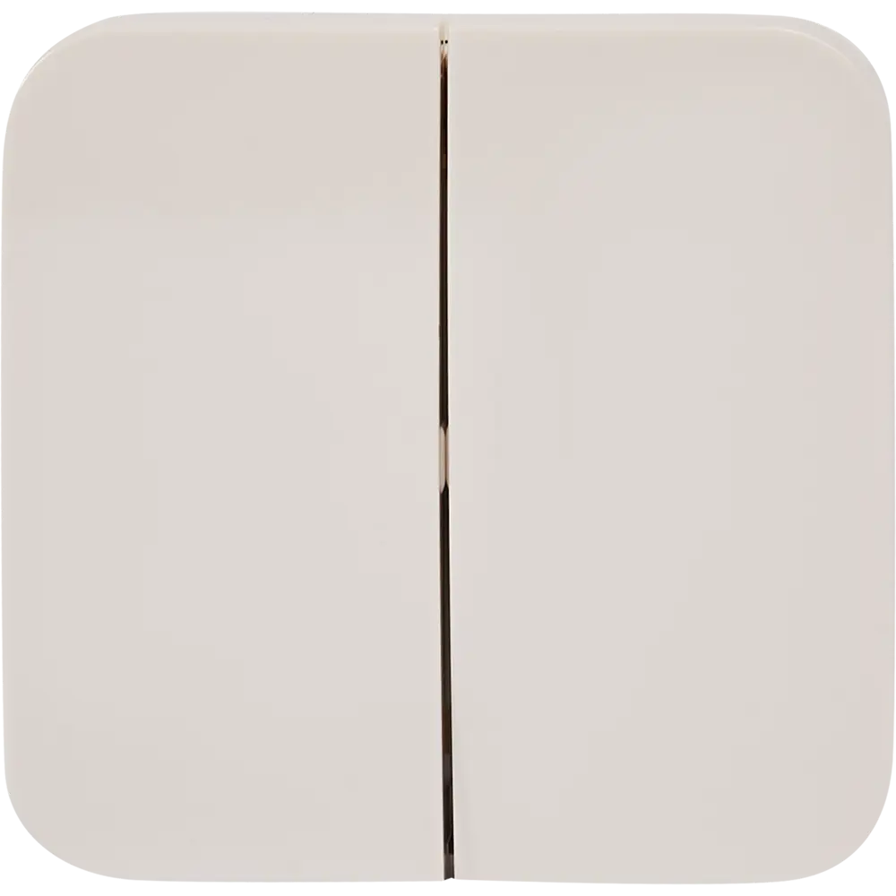 Выключатель накладной Schneider Electric Blanca 10 Ас 2 клавиши цвет бежевый SYSTEME ELECTRIC STLM-2134123 - Вид №1