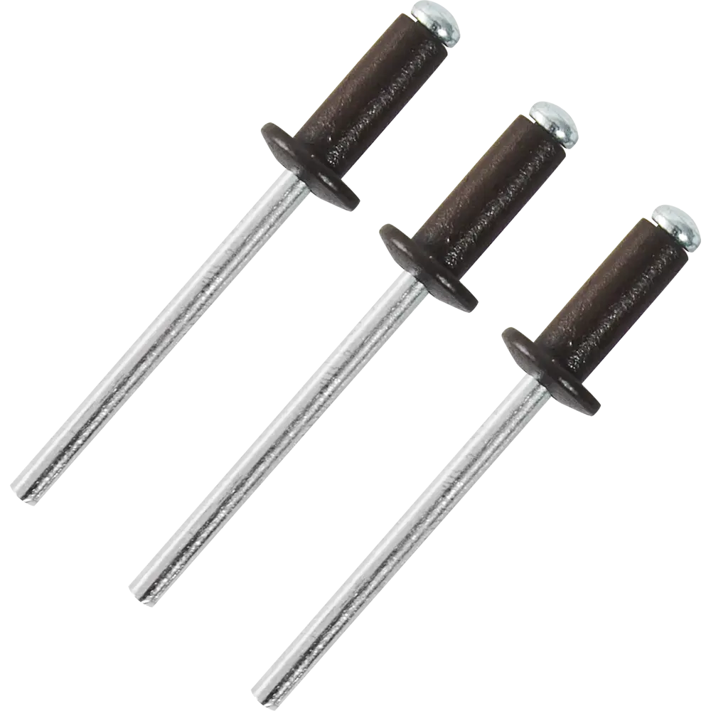 Заклепка RAL8017 коричневая 4x10 мм, 50 шт Santreyd STLM-2093067