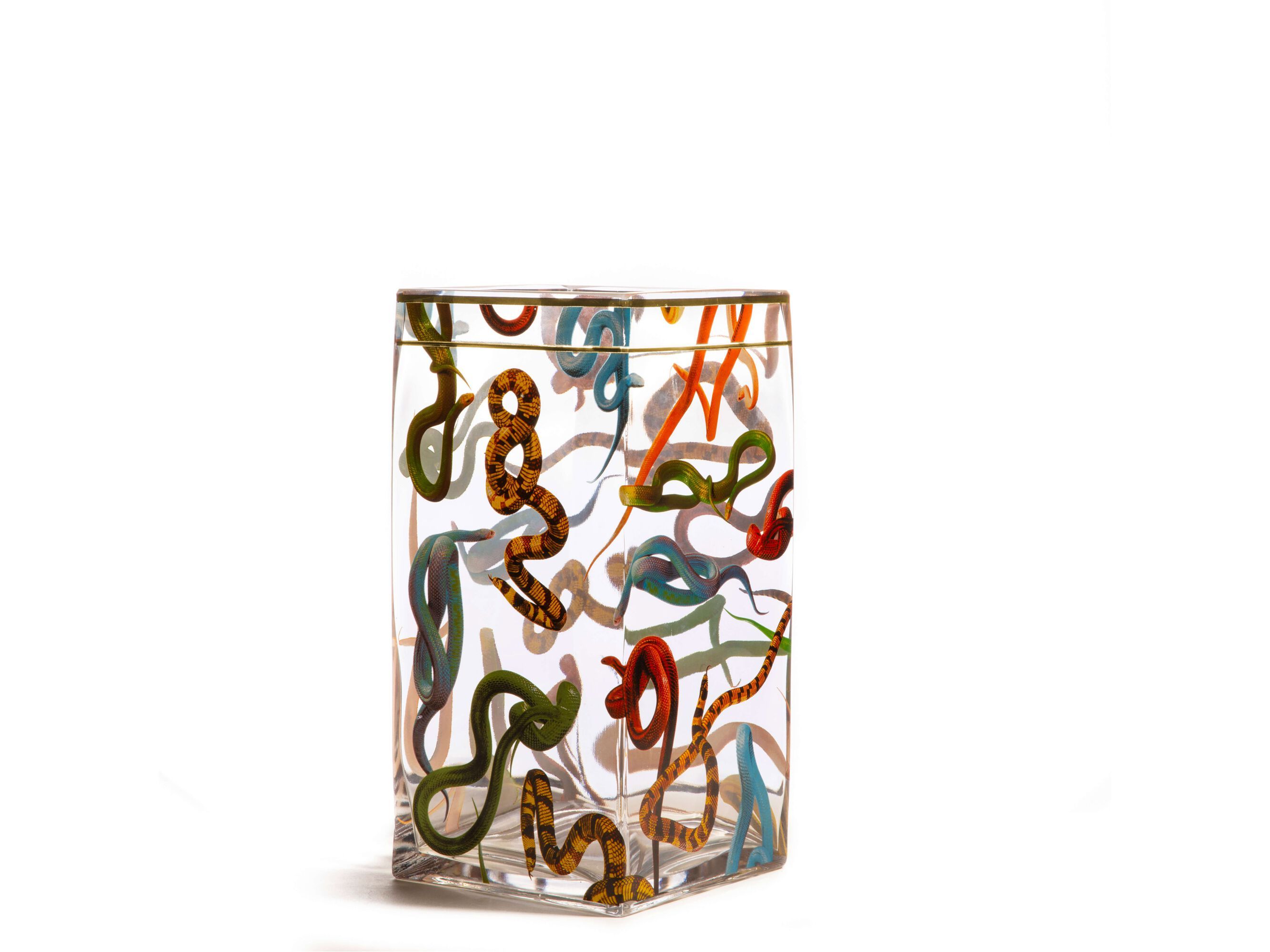 Стеклянная ваза Seletti SNAKES ARCH-00078897 - Вид №1