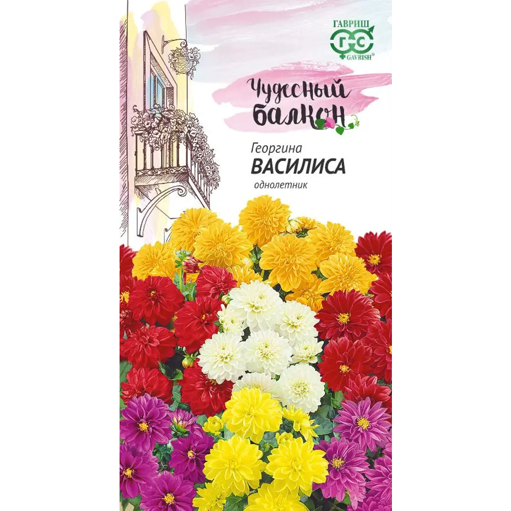 ГАВРИШ Георгина Василиса — яркий однолетник для балконов и сада 83606921 STLM-1584879