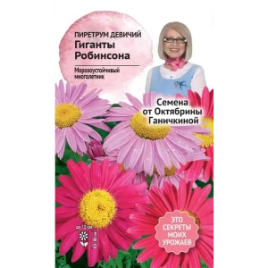 Семена цветов Семена от октябрины ганичкиной пиретрум девичий Гиганты Робинсона
