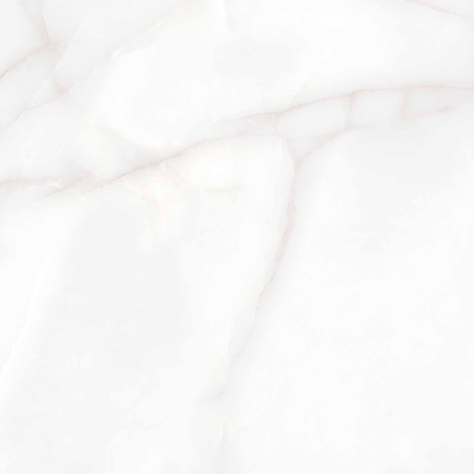 Керамогранит FEATHER ONYX 60х60 Arcadia Ceramica RT6004-A  - Вид №6