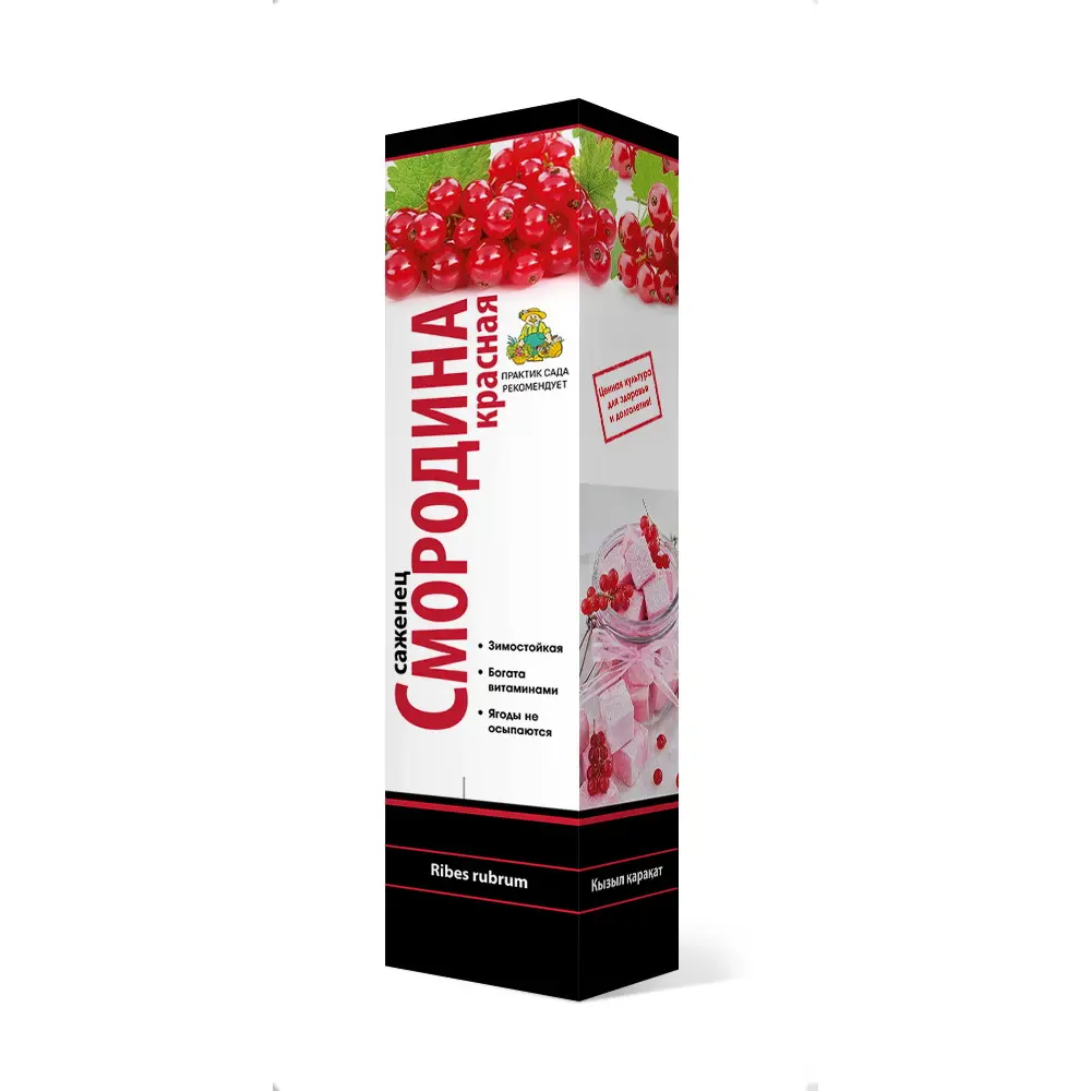 Смородина красная «Акция», микс 18345824 STLM-2007830 Santreyd 