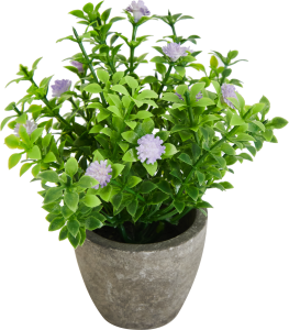 84832657 Искусственное растение оксалис 9x9 см фиолетовый ПВХ STLM-0055803 Santreyd