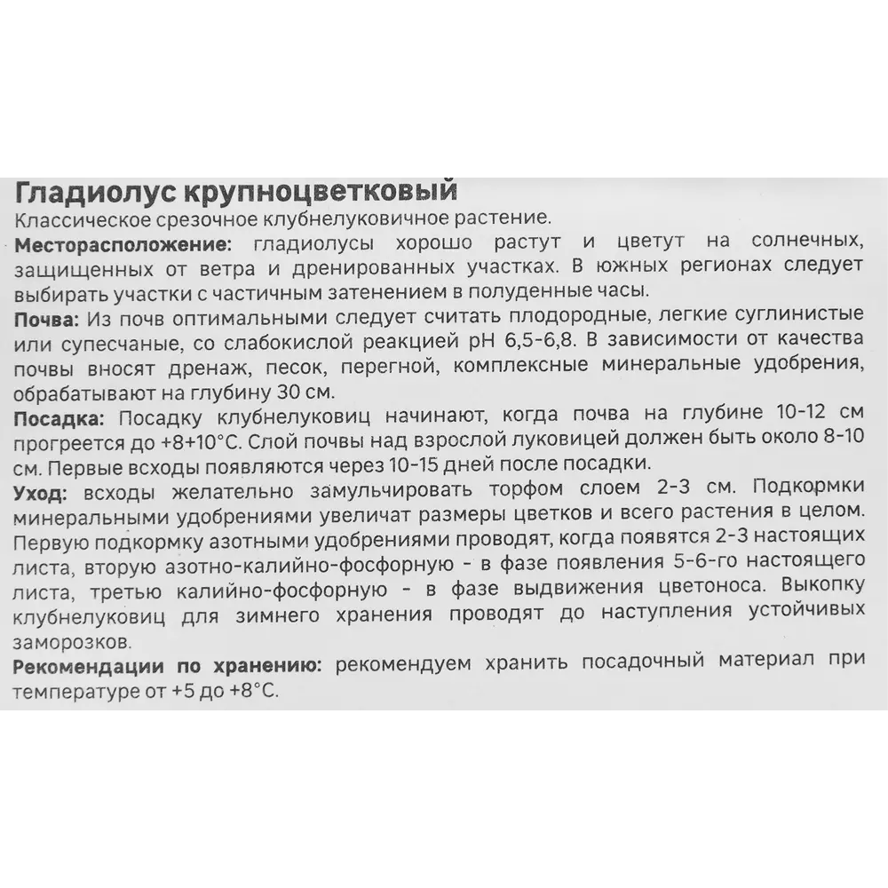 Гладиолус крупноцветковый Тритон Geolia 3 шт 86408554 STLM-2028715  - Вид №2