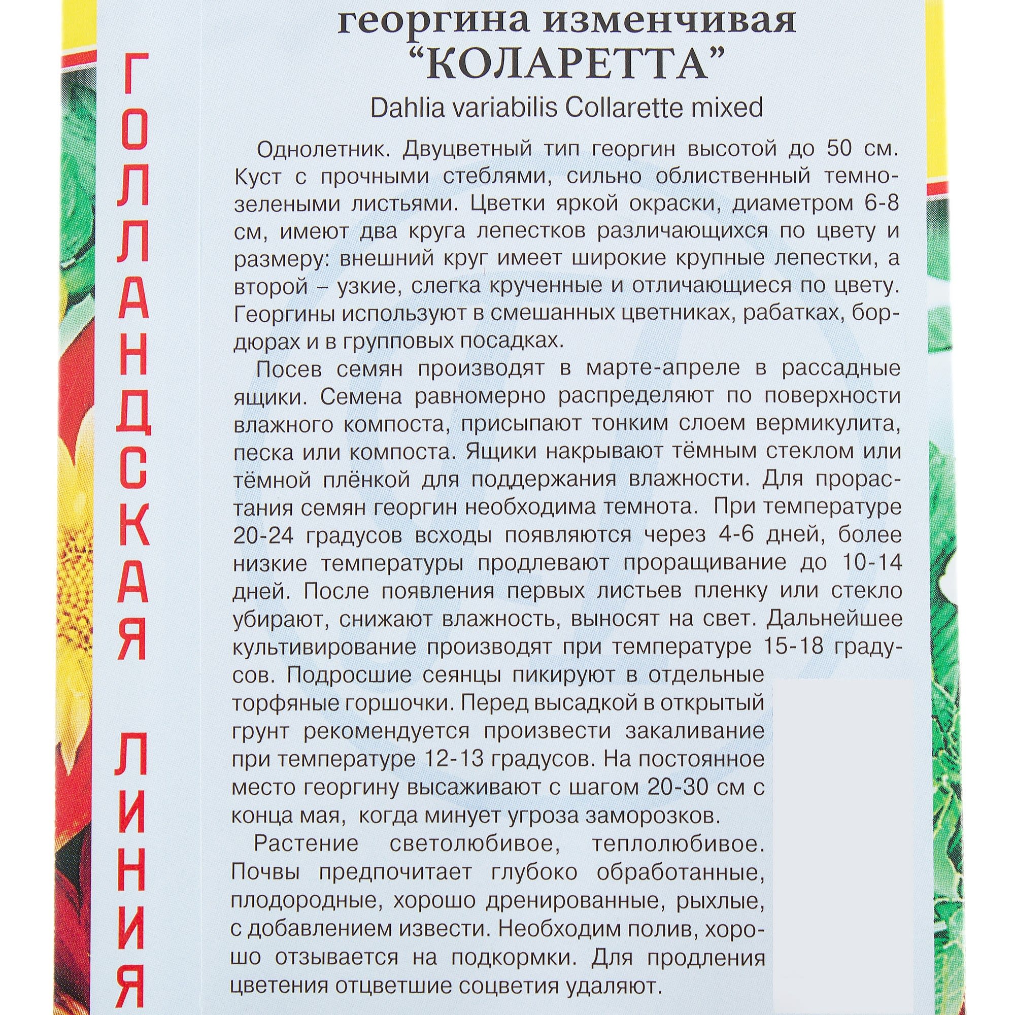 13894592 Георгина изменчивая «Коларетта» Santreyd  - Вид №2