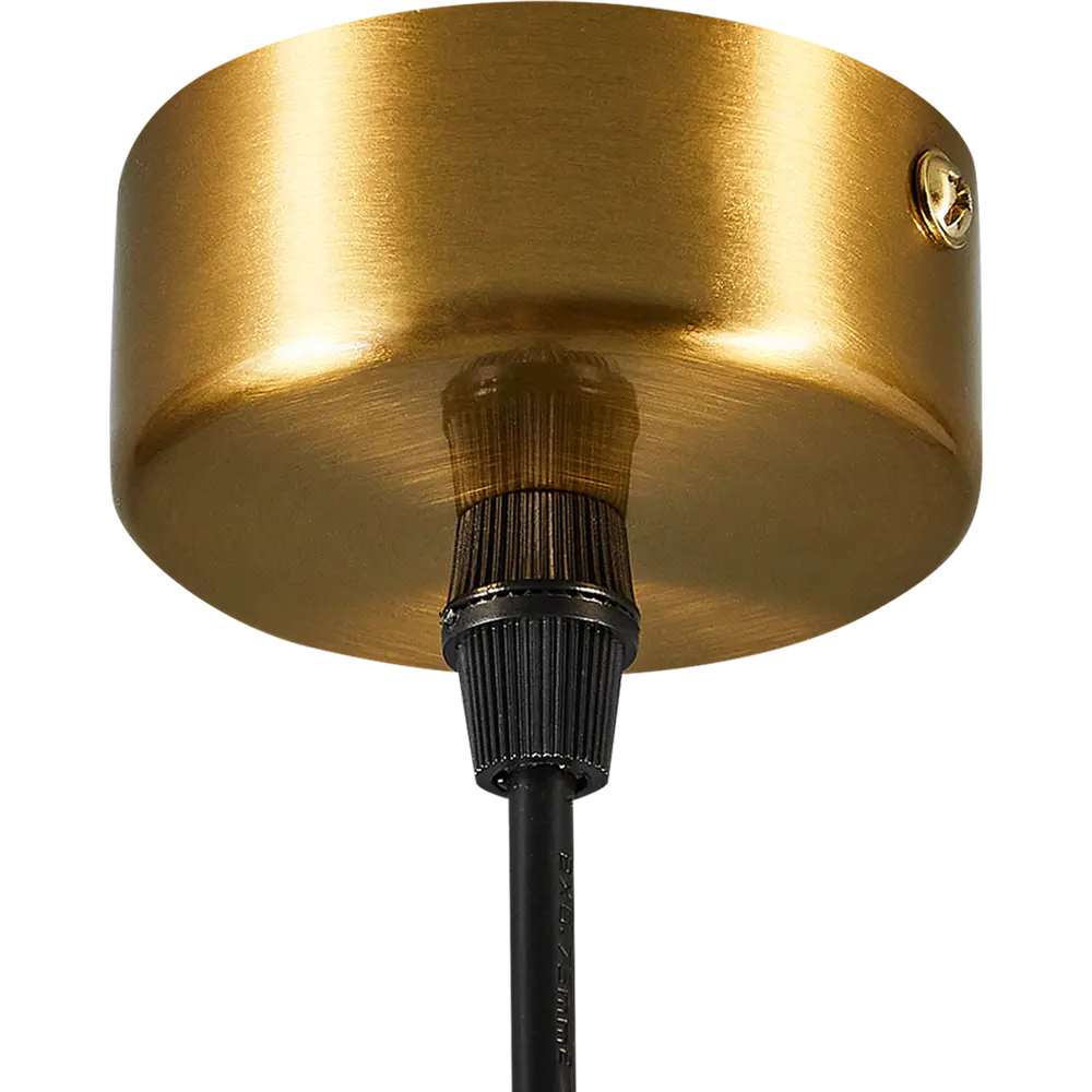 Arte Lamp Ran — подвесной светильник с регулируемой высотой в бронзовом исполнении 89364904 STLM-1575798 - Вид №4