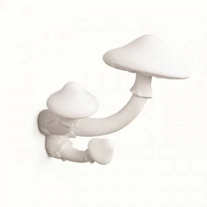Вешалка декоративная 16х17,5 см белая Mushroom SELETTI  00-3883291 Белый
