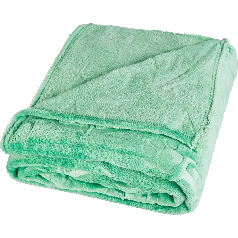 Плед Lapa 150x200 см фланель цвет мятный Ardenza STLM-2107035