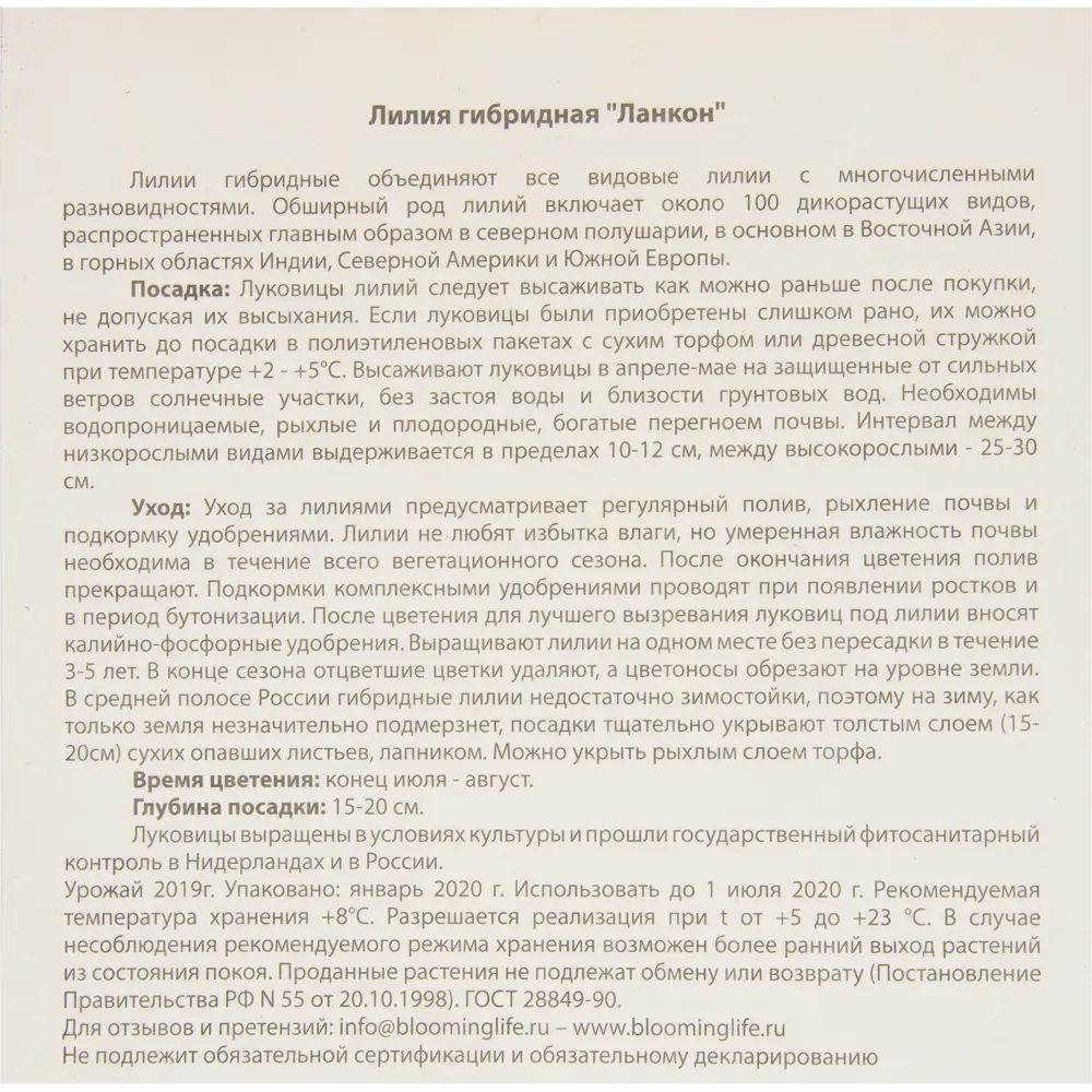 Лилия гибридная «Ланкон» BLOOMING LIFE STLM-2080651 - Вид №2