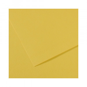 200321704 Бумага для пастели Mi-Teintes 160 г/м2 50 х 65 см лист №107 анисовый Canson