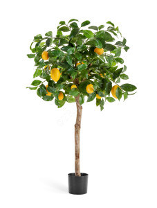 10.59704N Лимонное дерево с плодами на штамбе Цветочная коллекция
