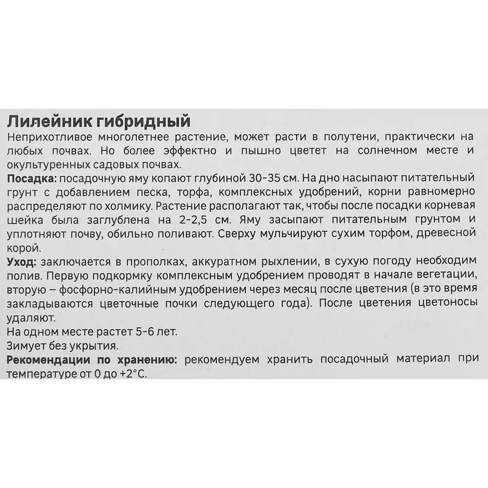 Лилейник Geolia гибридный Даблишес 86408693 STLM-2206569  - Вид №3