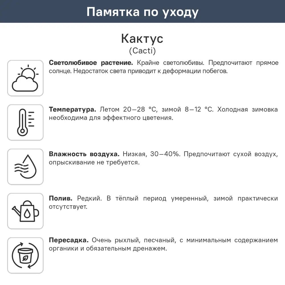 Кактус микс ø5.5 h5 см 89434463 STLM-2018886 Santreyd  - Вид №11