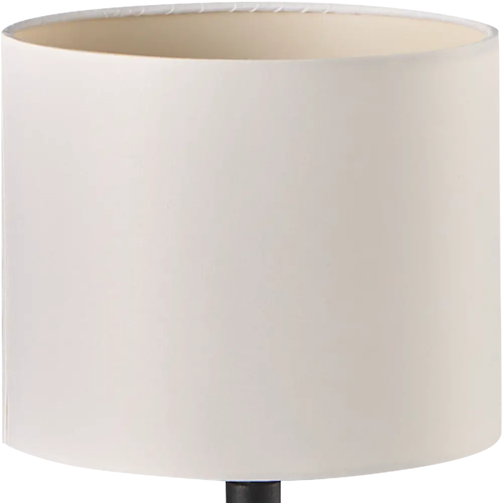 Настольная лампа Eglo «Carlton2» 1xE14x60 Вт, цвет чёрный/белый STLM-2160234 - Вид №3