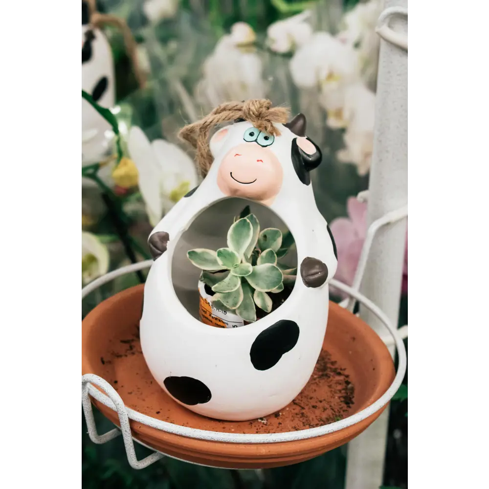 Кашпо-кактусник 10.5x10x15 см v0.15 л керамика чёрный/белый GARDMAX STLM-2160892 - Вид №5