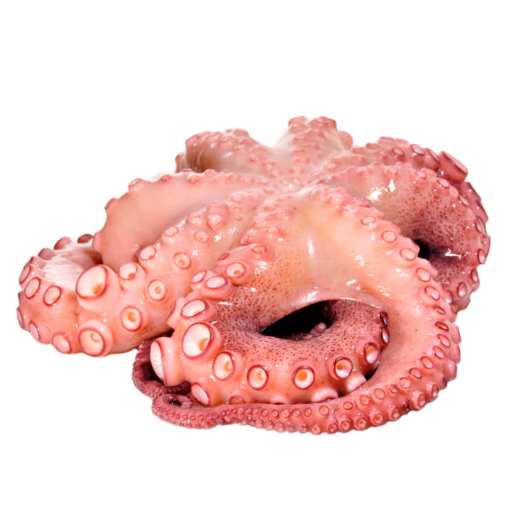 Осьминог свежемороженый 1 - 2 кг Santreyd 11788 - Вид №1