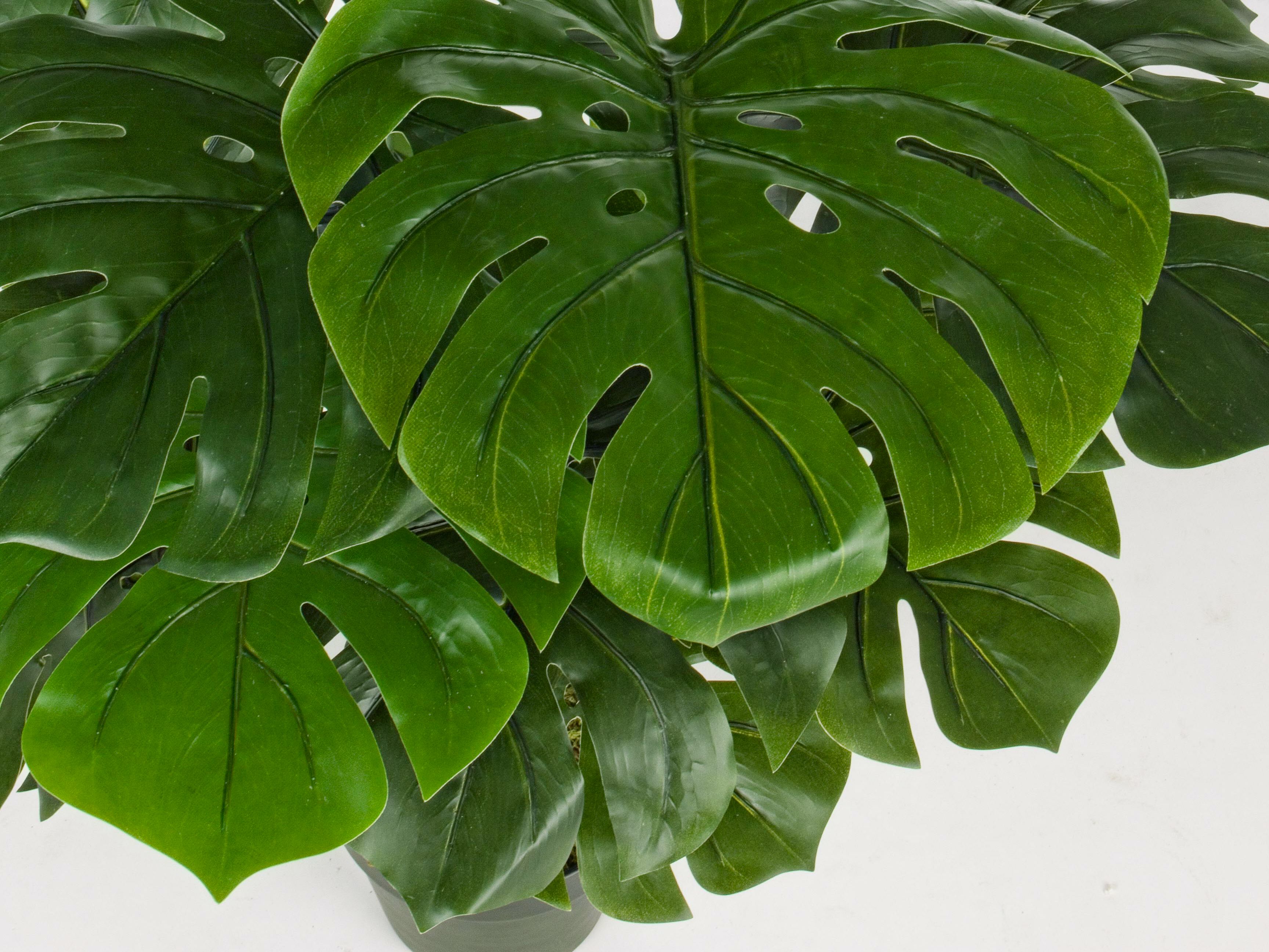 Искусственное растение BIZZOTTO FILODENDRO H120 ARCH-00044577 - Вид №1