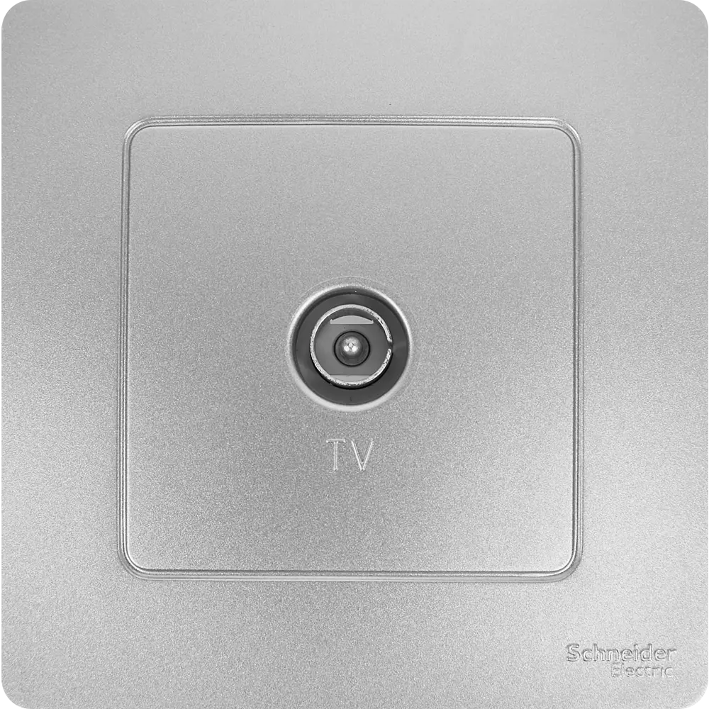 Коннектор ТВ встраиваемый Systeme Electric Blanca цвет алюминий 86728863 STLM-2194194