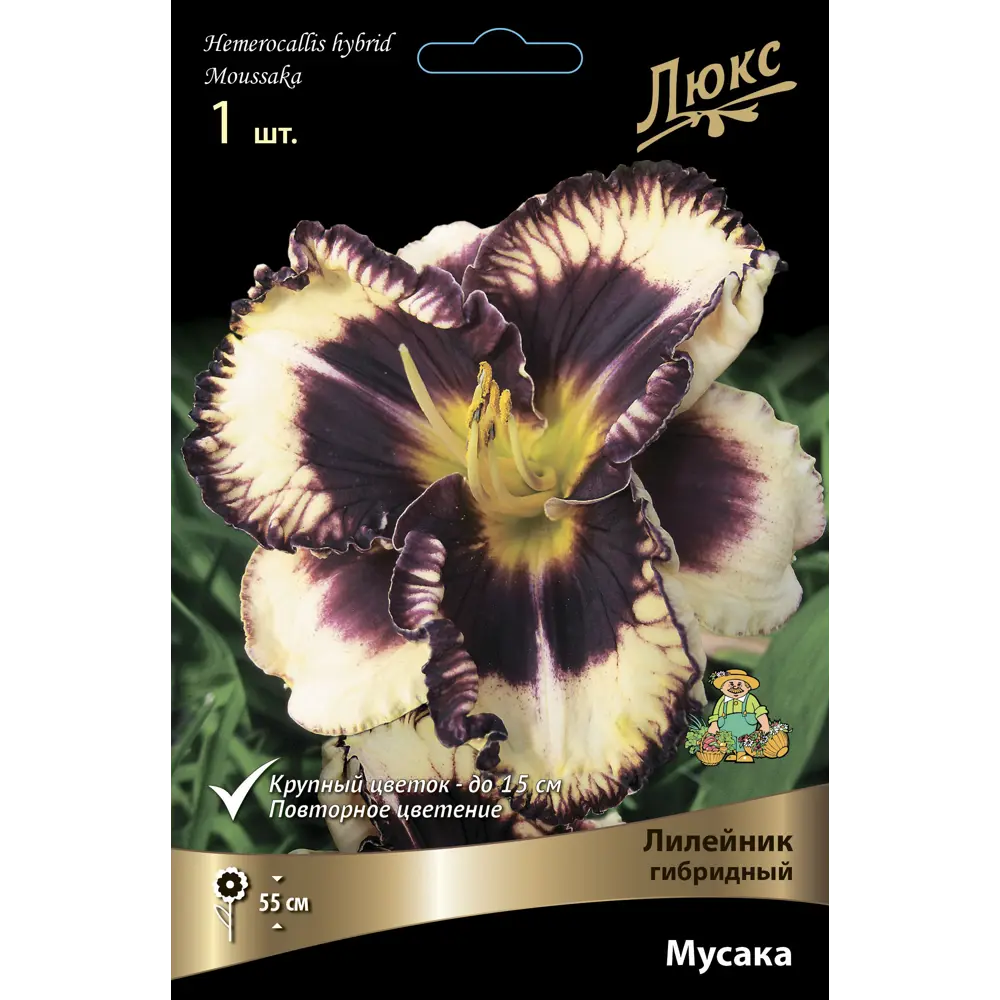 Лилейник гибридный Мусака ПОИСК STLM-2127582