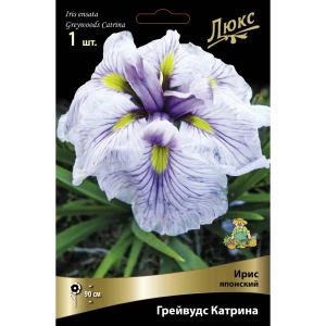 Ирис японский Грейвудс Катрина, 88659083 STLM-2005543