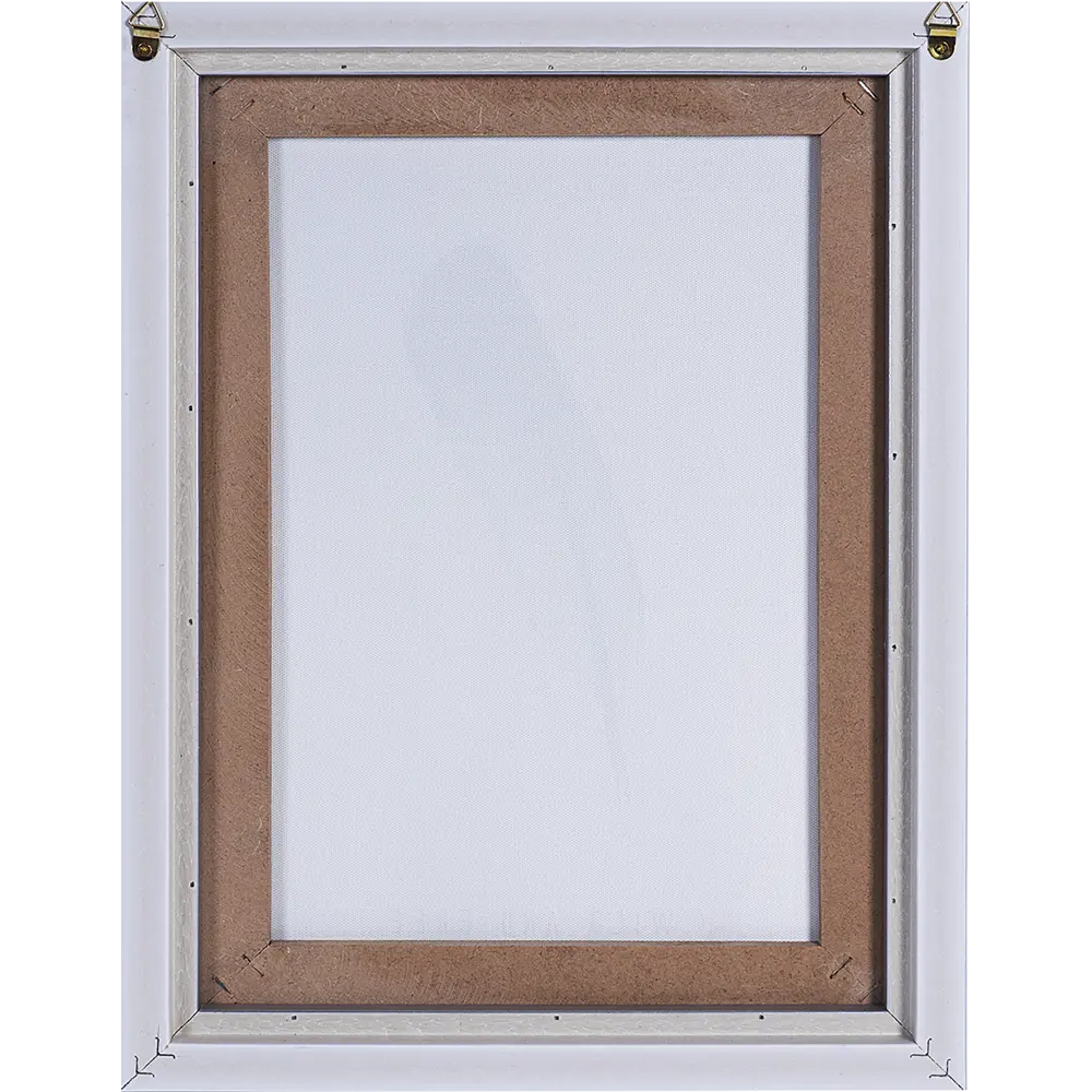 Картина на холсте в раме «Пёрышко» 30х40 см Santreyd STLM-2182367 - Вид №2